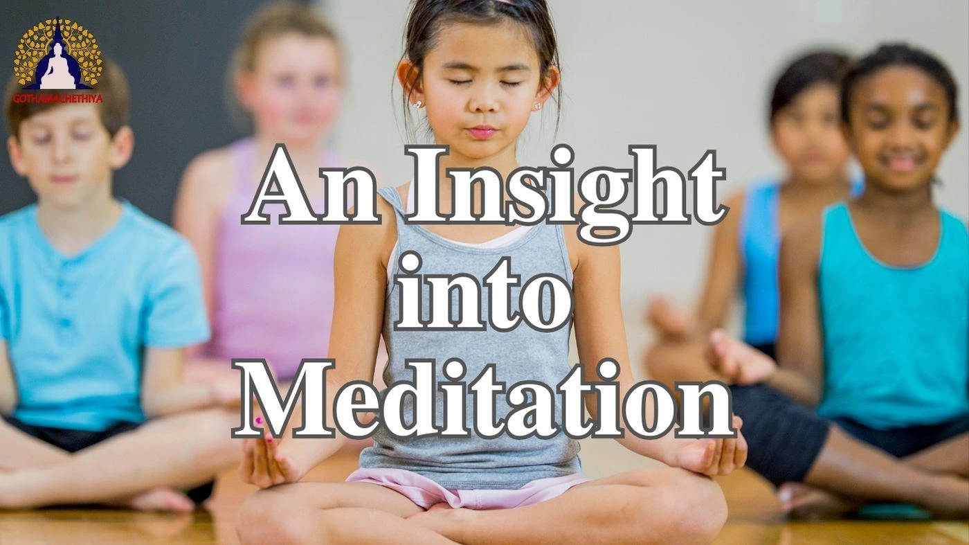 MeditationInsight