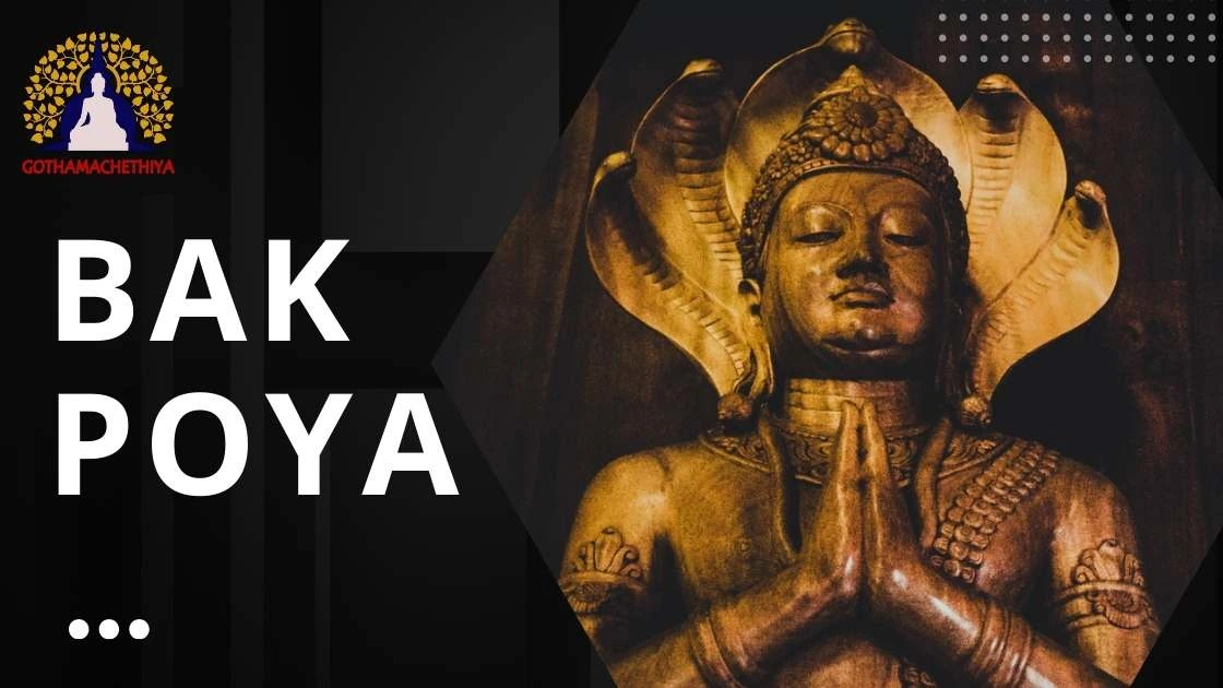 Bak Full Moon Poya Day | Gothamachethiya